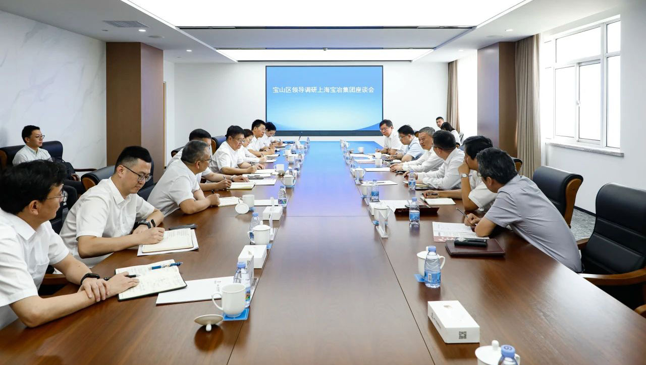 宝山区委书记李晨昊一行调研上海赢多多